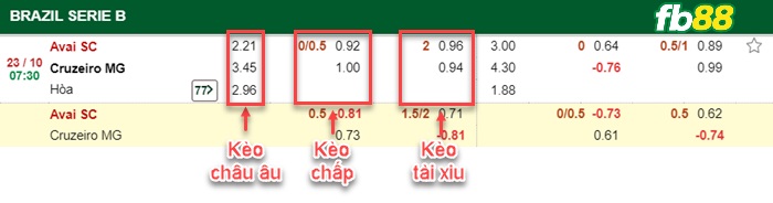 Fb88 bảng kèo trận đấu Avai vs Cruzeiro