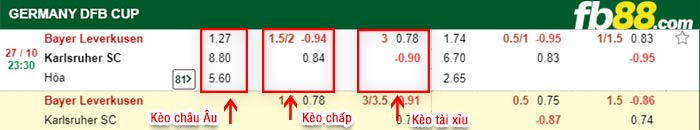 fb88-bảng kèo trận đấu Bayer Leverkusen vs Karlsruher