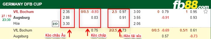 fb88-bảng kèo trận đấu Bochum vs Augsburg