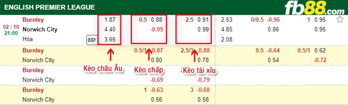 fb88-bảng kèo trận đấu Burnley vs Norwich