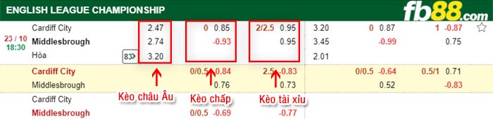 fb88-bảng kèo trận đấu Cardiff vs Middlesbrough