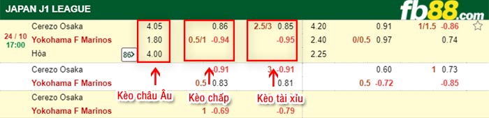 fb88-bảng kèo trận đấu Cerezo Osaka vs Yokohama F Marinos