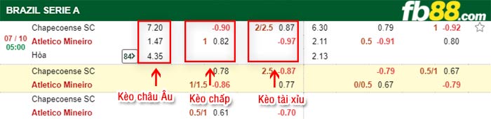 fb88-bảng kèo trận đấu Chapecoense vs Atletico Mineiro