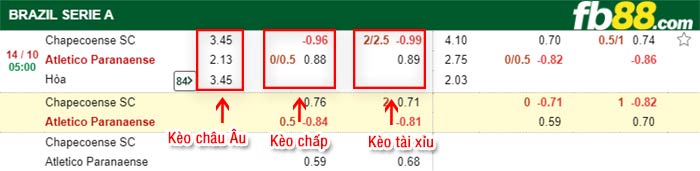 fb88-bảng kèo trận đấu Chapecoense vs Atletico Paranaense