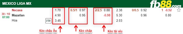 fb88-bảng kèo trận đấu Club Necaxa vs Mazatlan FC
