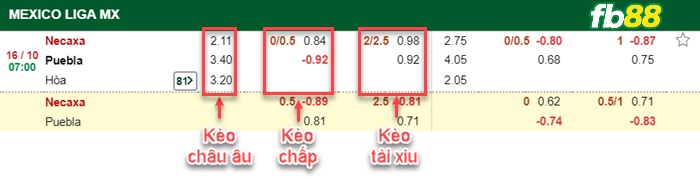 Fb88 bảng kèo trận đấu Club Necaxa vs Puebla