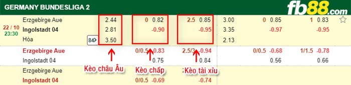 fb88-bảng kèo trận đấu Erzgebirge Aue vs Ingolstadt