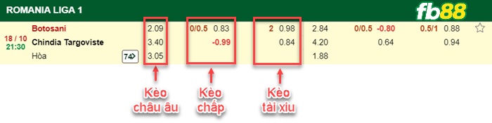 Fb88 bảng kèo trận đấu FC Botosani vs Chindia Targoviste