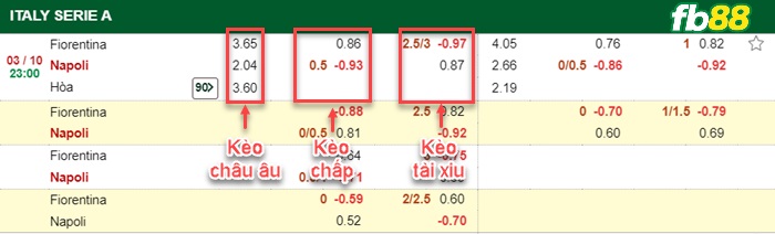 Fb88 bảng kèo trận đấu Fiorentina vs Napoli