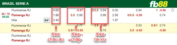 Fb88 bảng kèo trận đấu Fluminense vs  Flamengo