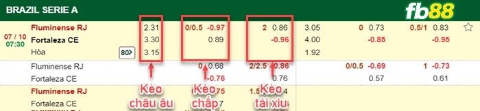 Fb88 bảng kèo trận đấu Fluminense vs Fortalezad