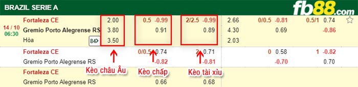 fb88-bảng kèo trận đấu Fortaleza vs Gremio