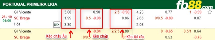 fb88-bảng kèo trận đấu Gil Vicente vs Braga