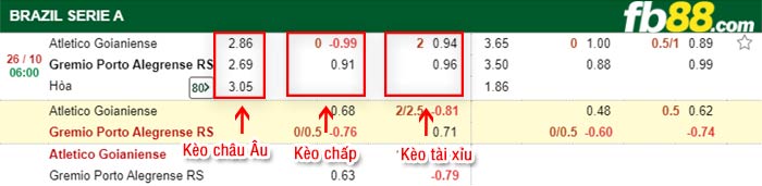 fb88-bảng kèo trận đấu Goianiense vs Gremio