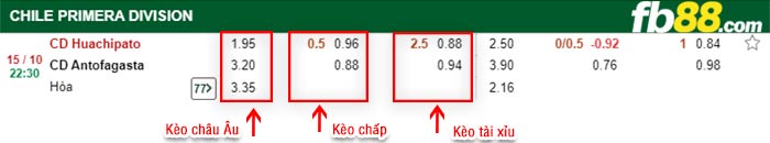 fb88-bảng kèo trận đấu Huachipato vs Antofagasta