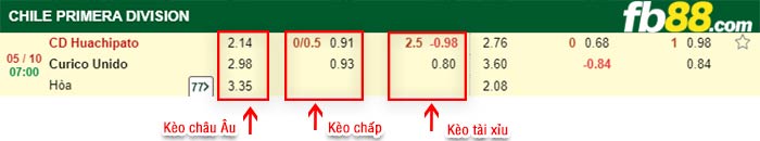 fb88-bảng kèo trận đấu Huachipato vs Curico Unido