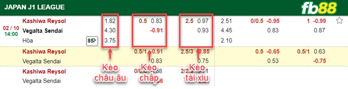 Fb88 bảng kèo trận đấu Maritimo vs Moreirense