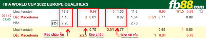 fb88-bảng kèo trận đấu Liechtenstein vs Bac Macedonia