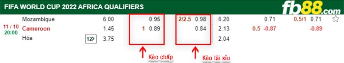 fb88-bảng kèo trận đấu Mozambique vs Cameroon