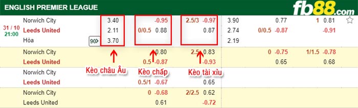fb88-bảng kèo trận đấu Norwich vs Leeds