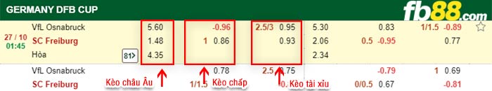 fb88-bảng kèo trận đấu Osnabruck vs Freiburg