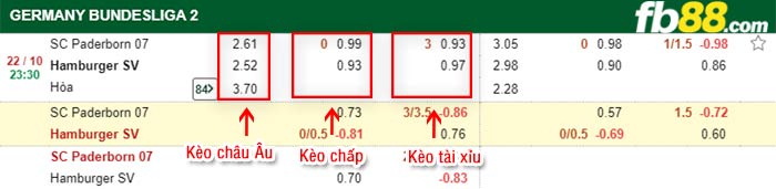 fb88-bảng kèo trận đấu Paderborn vs Hamburger