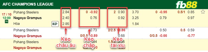 Fb88 bảng kèo trận đấu Pohang vs Nagoya Grampus