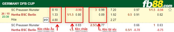 fb88-bảng kèo trận đấu Preuben Munster vs Hertha Berlin