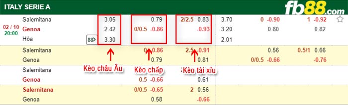 fb88-bảng kèo trận đấu Salernitana vs Genoa