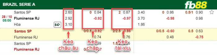 Fb88 bảng kèo trận đấu Santos vs Fluminense