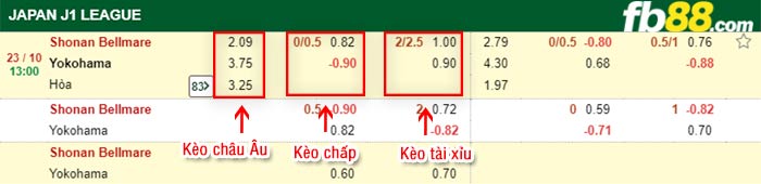 fb88-bảng kèo trận đấu Shonan Bellmare vs Yokohama FC