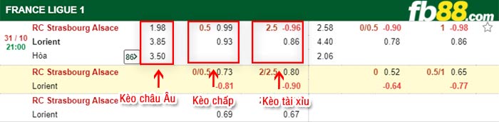 fb88-bảng kèo trận đấu Strasbourg vs Lorient