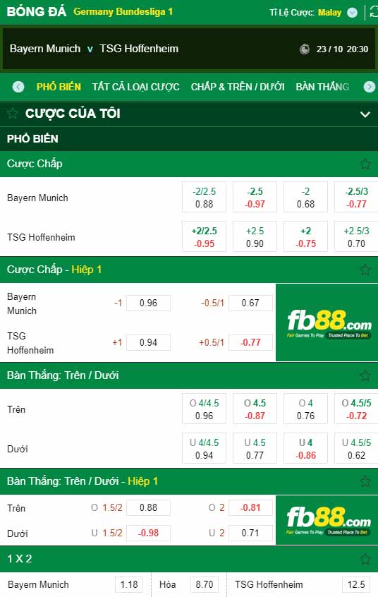 fb88-chi tiết kèo trận đấu Bayern Munich vs Hoffenheim