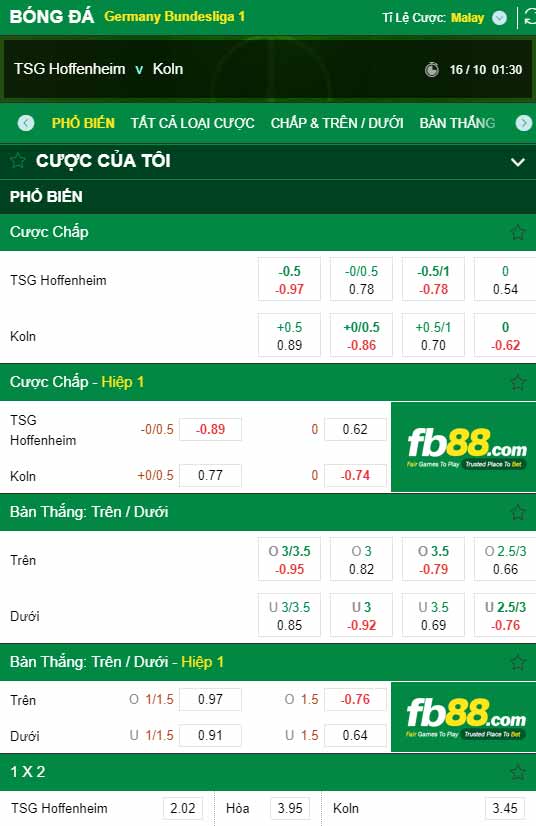 fb88-chi tiết kèo trận đấu Hoffenheim vs Koln