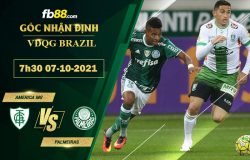 Fb88 soi kèo trận đấu America MG vs Palmeirasd
