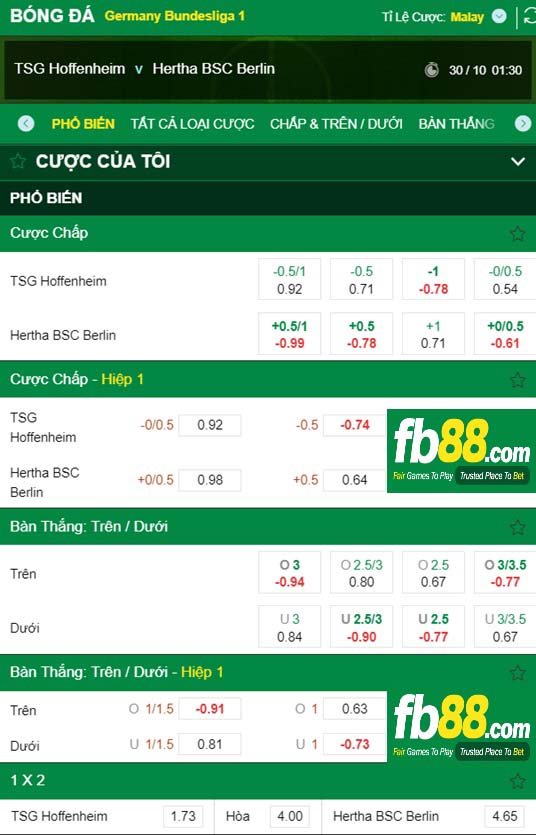 Fb88 thông số trận đấu Hoffenheim vs Hertha Berlin
