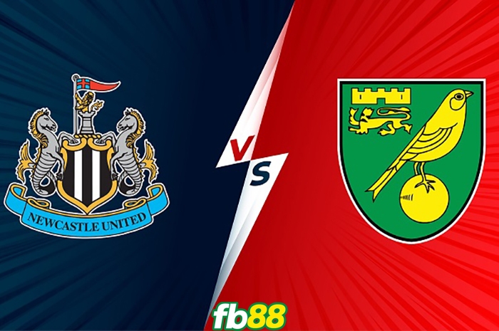 Newcastle vs Norwich