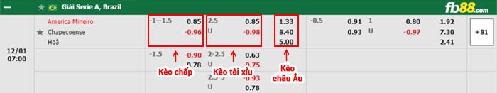 fb88-bảng kèo trận đấu America MG vs Chapecoense