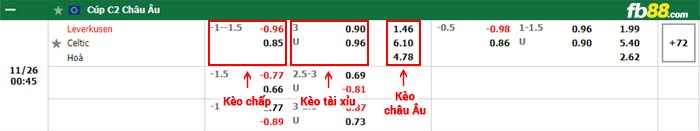 fb88-bảng kèo trận đấu Bayer Leverkusen vs Celtic
