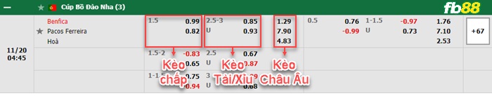 Fb88 bảng kèo trận đấu Benfica vs Pacos Ferreira