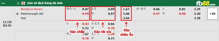 fb88-bảng kèo trận đấu Blackburn vs Peterborough