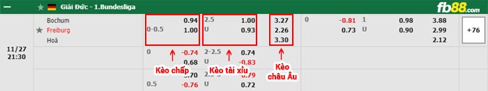fb88-bảng kèo trận đấu Bochum vs Freiburg