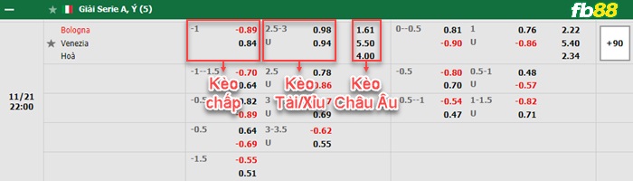 Fb88 bảng kèo trận đấu Bologna vs Venezia