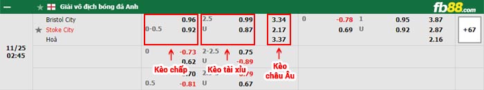 fb88-bảng kèo trận đấu Bristol City vs Stoke