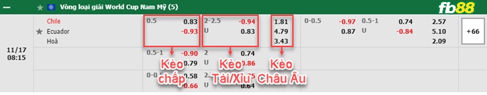 Fb88 bảng kèo trận đấu Chile vs Ecuador