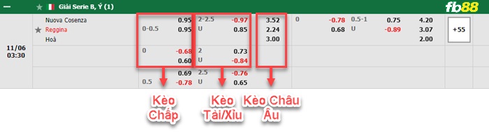 Fb88 bảng kèo trận đấu Cosenza vs Reggina