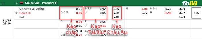 Fb88 bảng kèo trận đấu El Sharqia vs Future FC