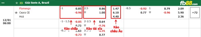 fb88-bảng kèo trận đấu Flamengo vs Ceara