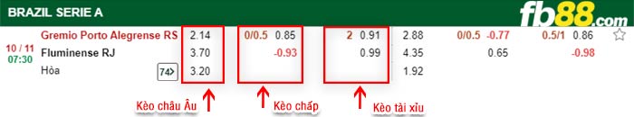 fb88-bảng kèo trận đấu Gremio vs Fluminense