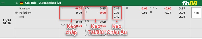 Fb88 bảng kèo trận đấu Hannover vs Paderborn